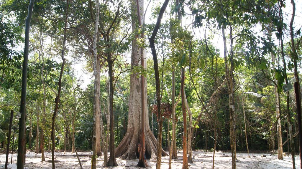 Pousada Recanto Familia Bianchi Macapá Exterior foto